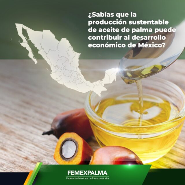 Desarrollé materiales gráficos para FEMEXPALMA, enfocados en comunicar de forma clara y visual el valor de la producción sustentable de aceite de palma en México.

El proyecto incluyó carruseles informativos, piezas para redes sociales y diseños editoriales para difundir temas como desarrollo económico, empleo local, seguridad alimentaria, prácticas agrícolas responsables y comunicación del sector palmero. La línea visual combina fotografía, ilustración, composición dinámica y branding institucional para hacer la información más accesible, atractiva y profesional.

#SustainableAgriculture #SocialMediaDesign #EditorialDesign #VisualCommunication