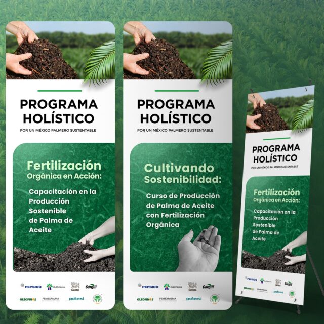 Desarrollé la identidad visual y materiales gráficos para el Programa Holístico, una iniciativa impulsada por PepsiCo, Proforest, Cargill y otros aliados, enfocada en promover una palmícultura más sostenible en México.

El proyecto incluyó piezas para cursos, diplomados, presentaciones, pendones, mockups y comunicación digital, manteniendo una línea visual profesional, institucional y cercana. La dirección gráfica combina fotografía, composición editorial, tonos verdes y elementos naturales para reforzar los temas de sustentabilidad, capacitación, gestión ambiental y desarrollo comunitario dentro del sector palmero.

#SustainableDesign #BrandIdentity #EditorialDesign #VisualCommunication